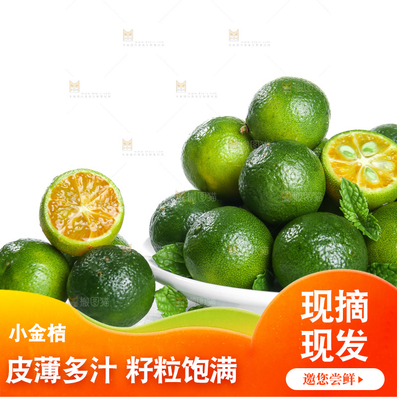 白底上的小金桔