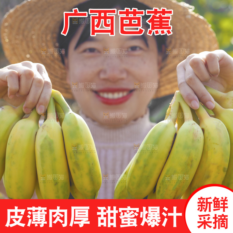 手里拿着广西芭蕉