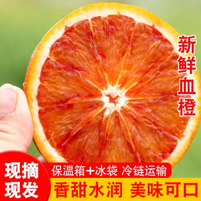 手里拿着赣南血橙