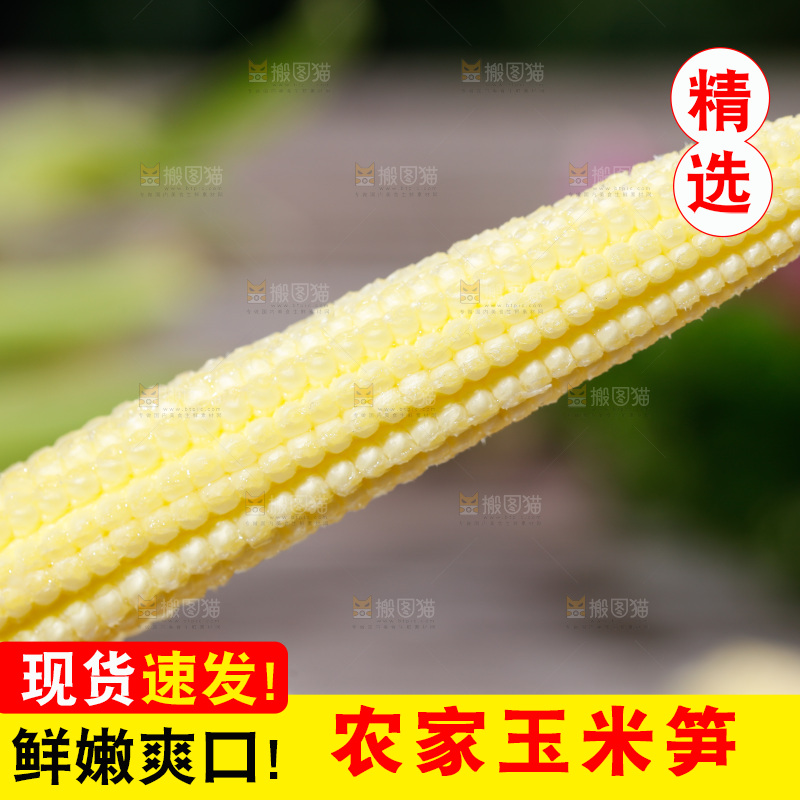 深底上的玉米笋