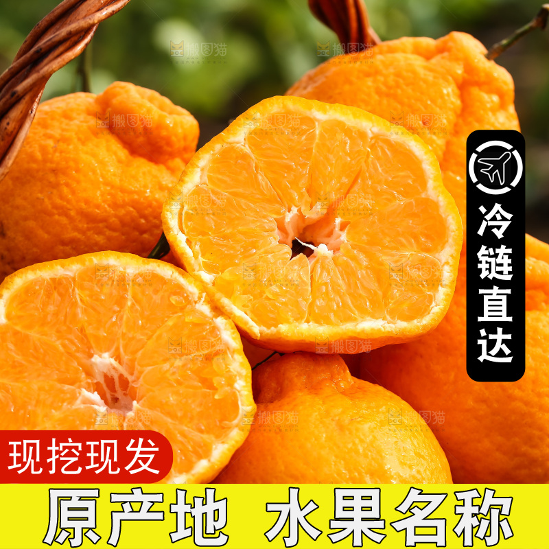 草地上的耙耙柑