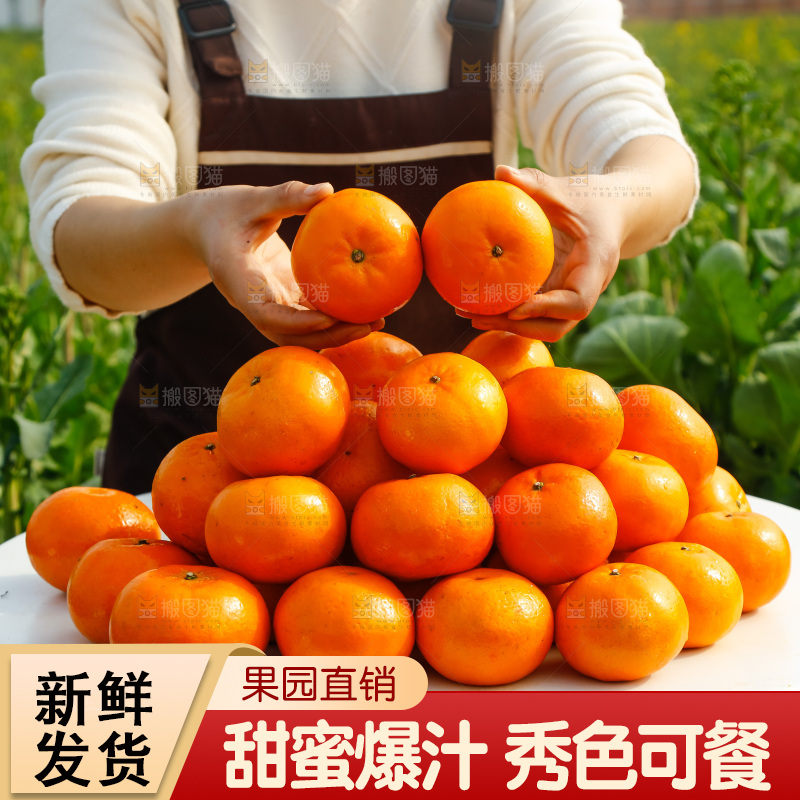 手里拿着沃柑