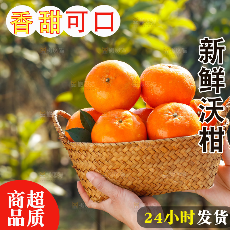 手里拿着沃柑
