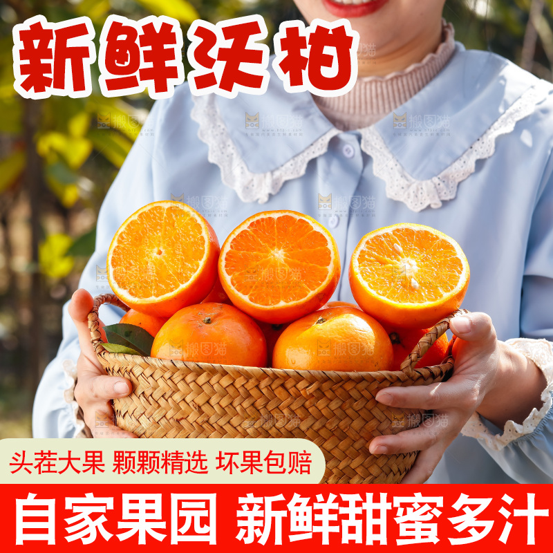 手里拿着沃柑