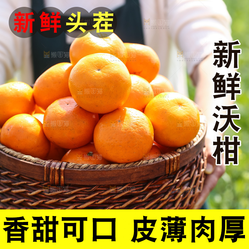 手里拿着新鲜沃柑