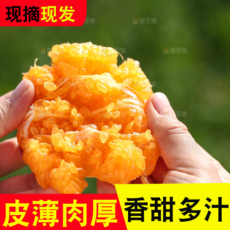 手里拿着丑八怪