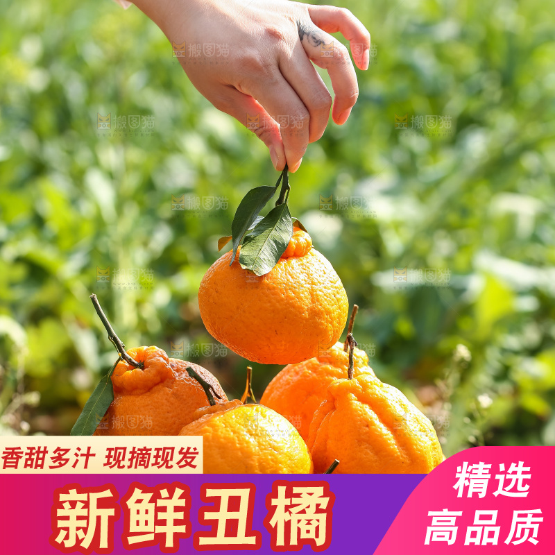 手里拿着丑八怪
