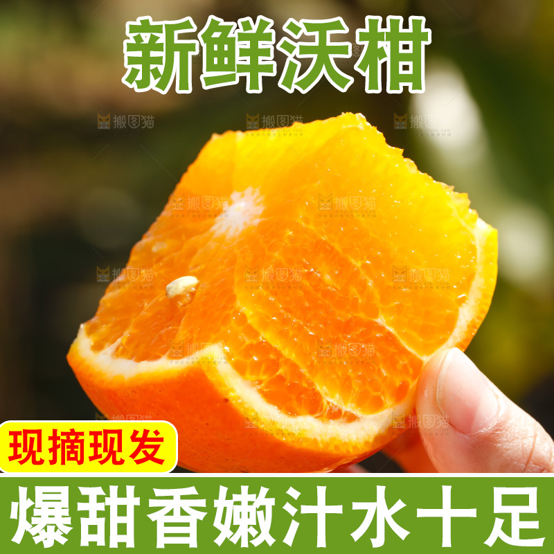 手里拿着沃柑
