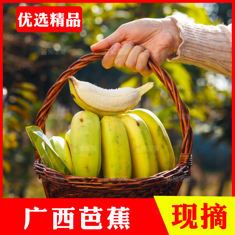 手里拿着广西芭蕉