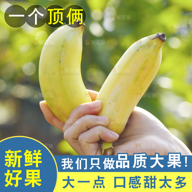 手里拿着广西芭蕉