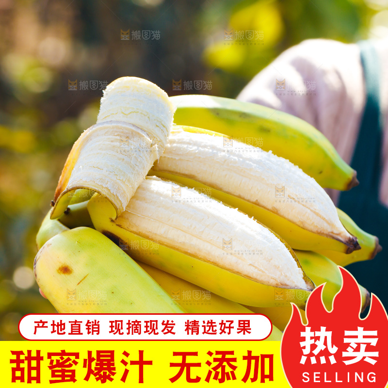 手里拿着广西芭蕉