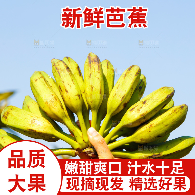 手里拿着广西芭蕉