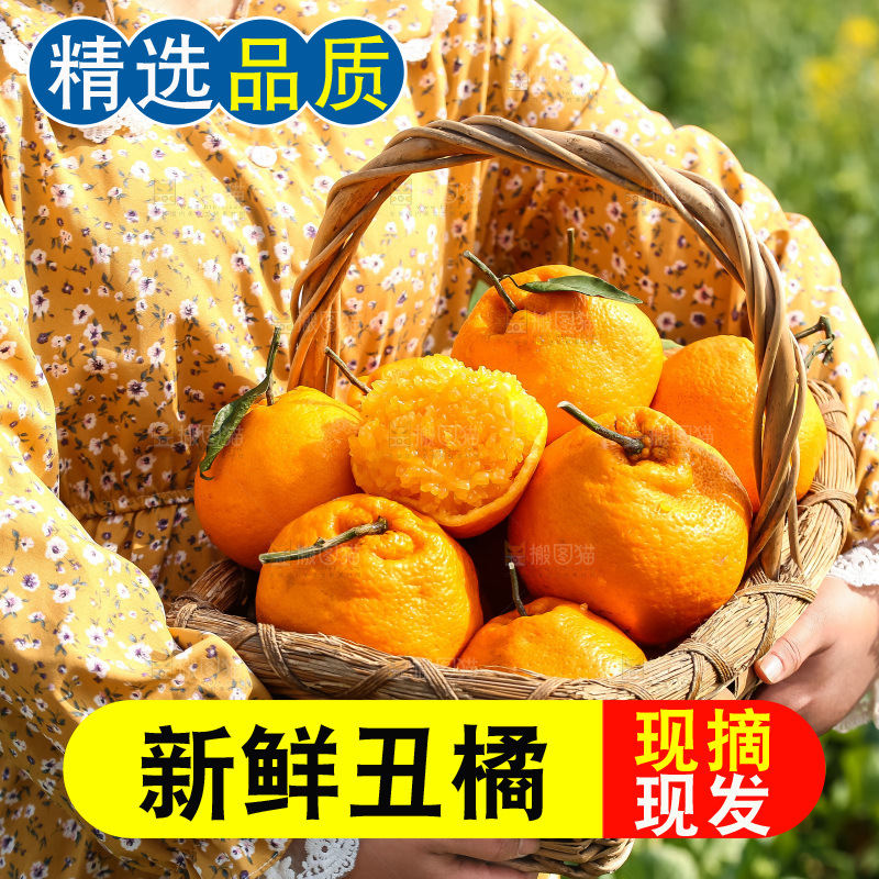 手里拿着丑八怪