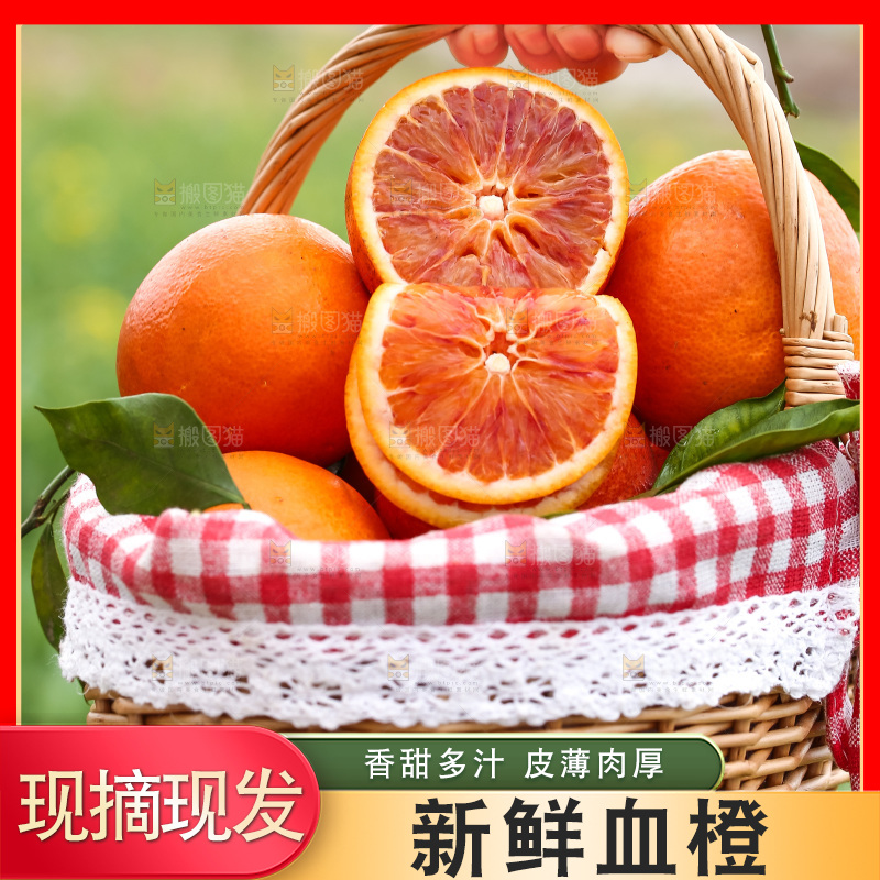 手里拿着赣南血橙
