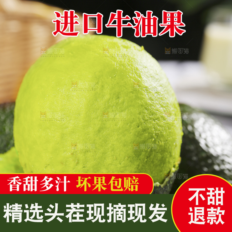浅底上的巨无霸牛油果