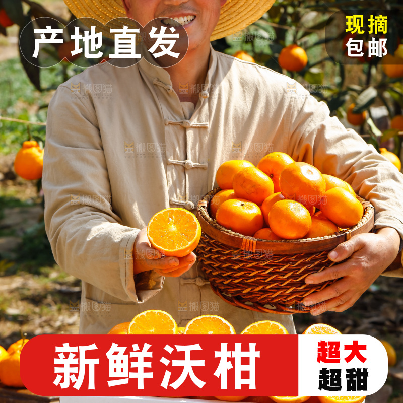 手里拿着沃柑