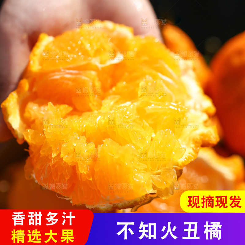 手里拿着丑八怪