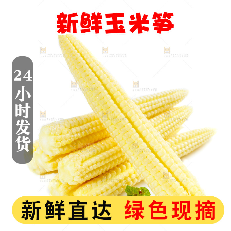 白底上的珍珠笋