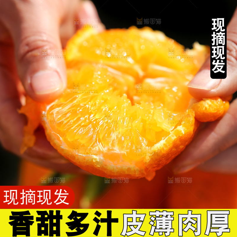 手里拿着丑八怪