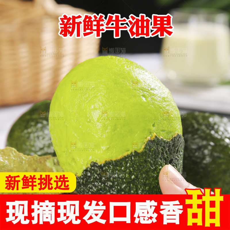 浅底上的巨无霸牛油果