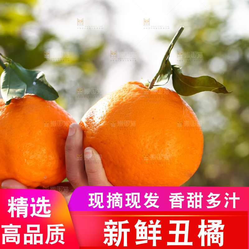 手里拿着丑八怪