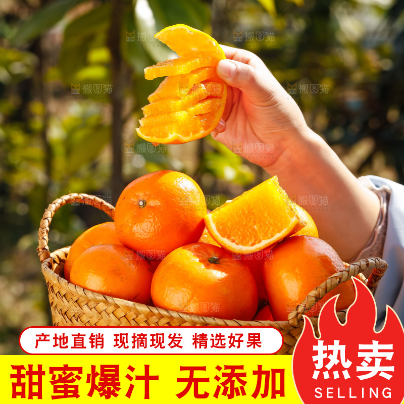 手里拿着沃柑