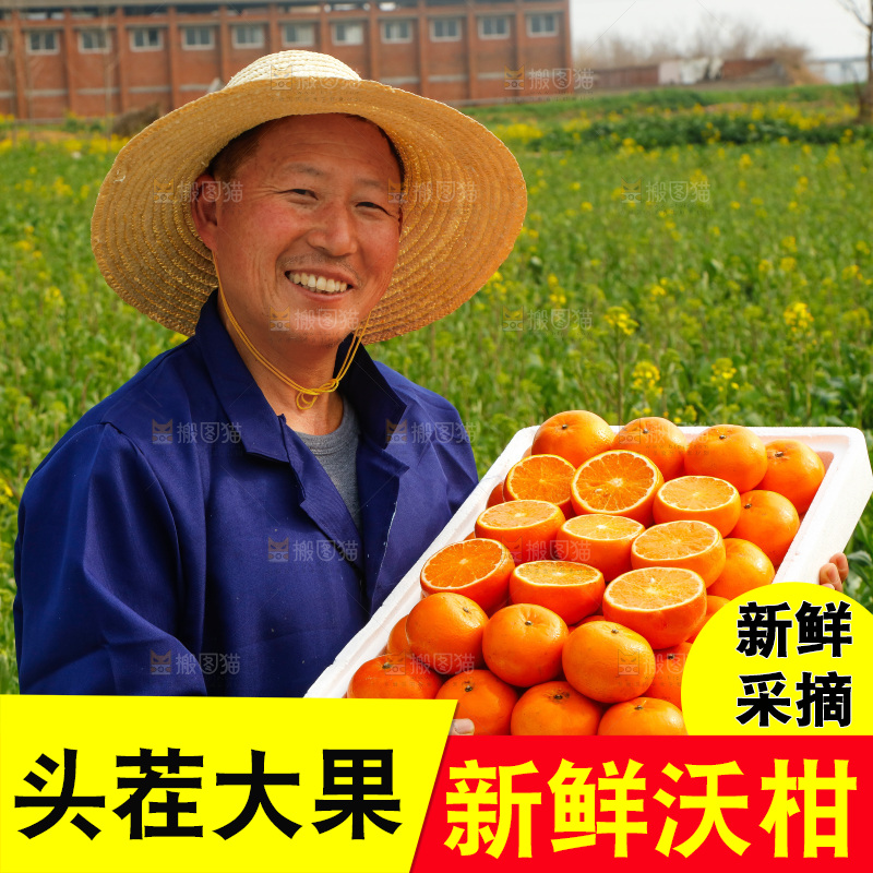 手里拿着沃柑