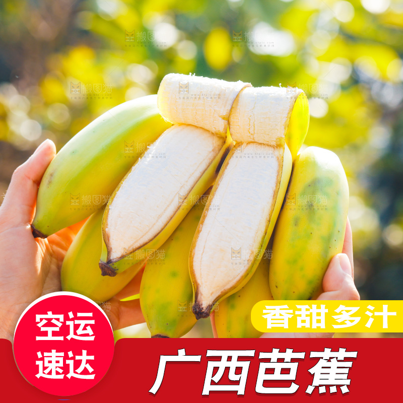 手里拿着广西芭蕉
