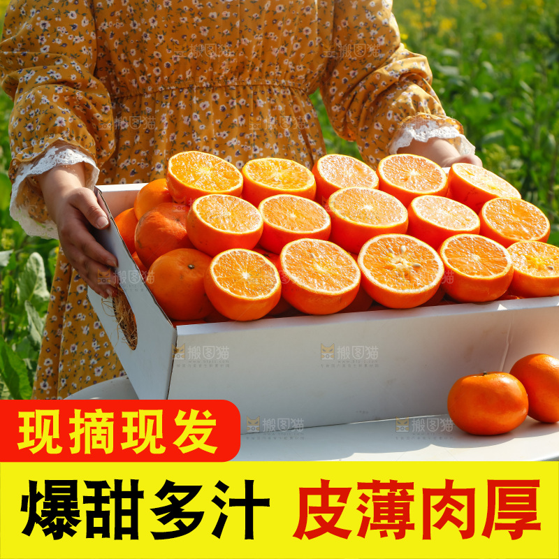 手里拿着沃柑