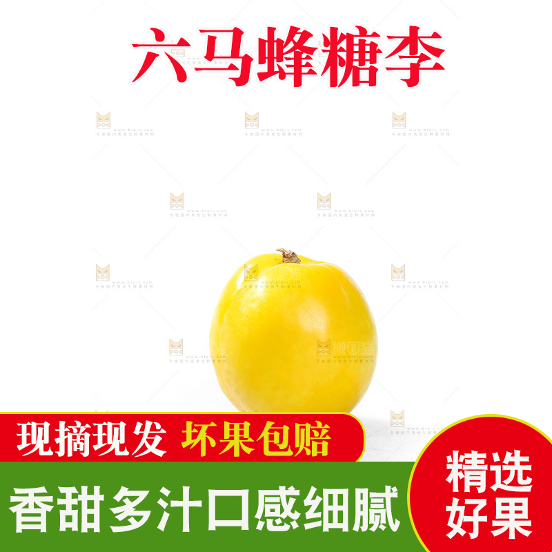 白底上的蜂糖李