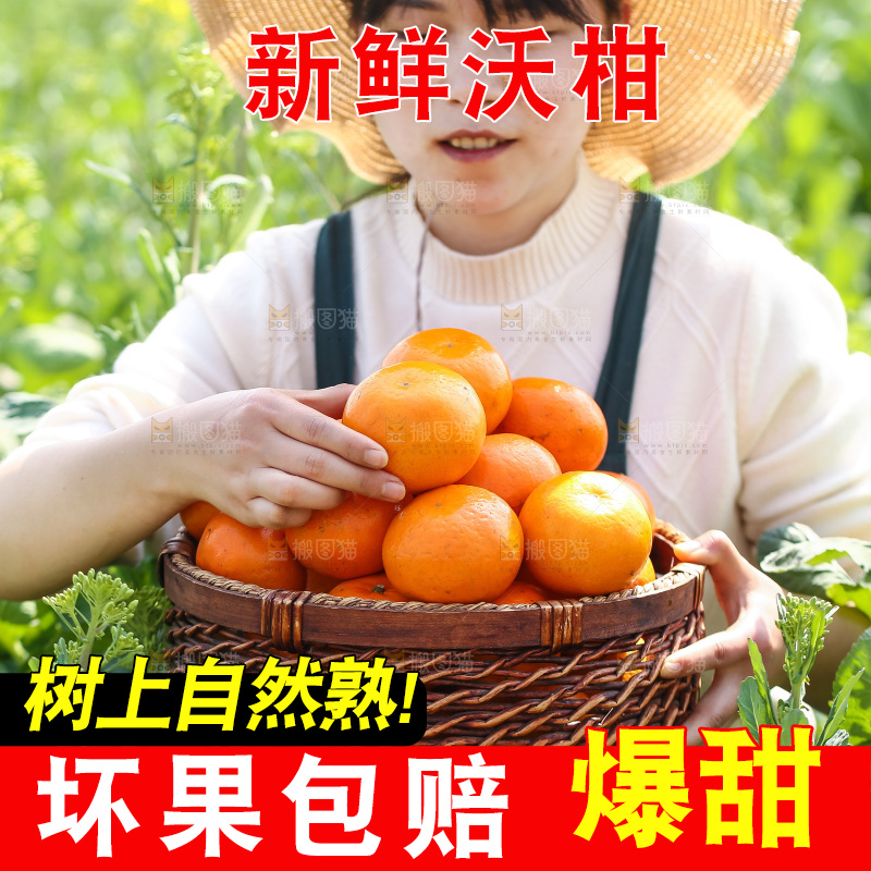 手里拿着新鲜沃柑