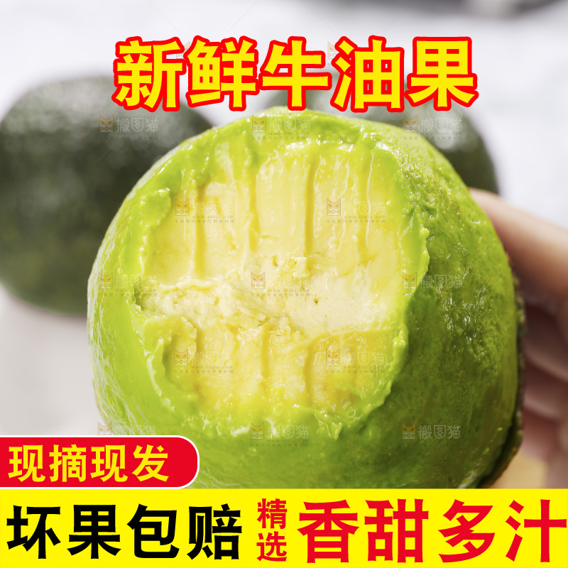 浅底上的巨无霸牛油果