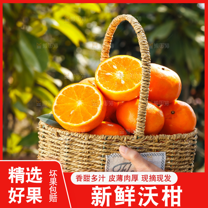 手里拿着沃柑