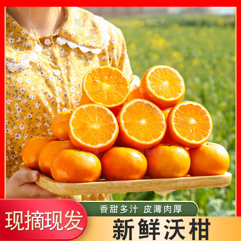 手里拿着沃柑