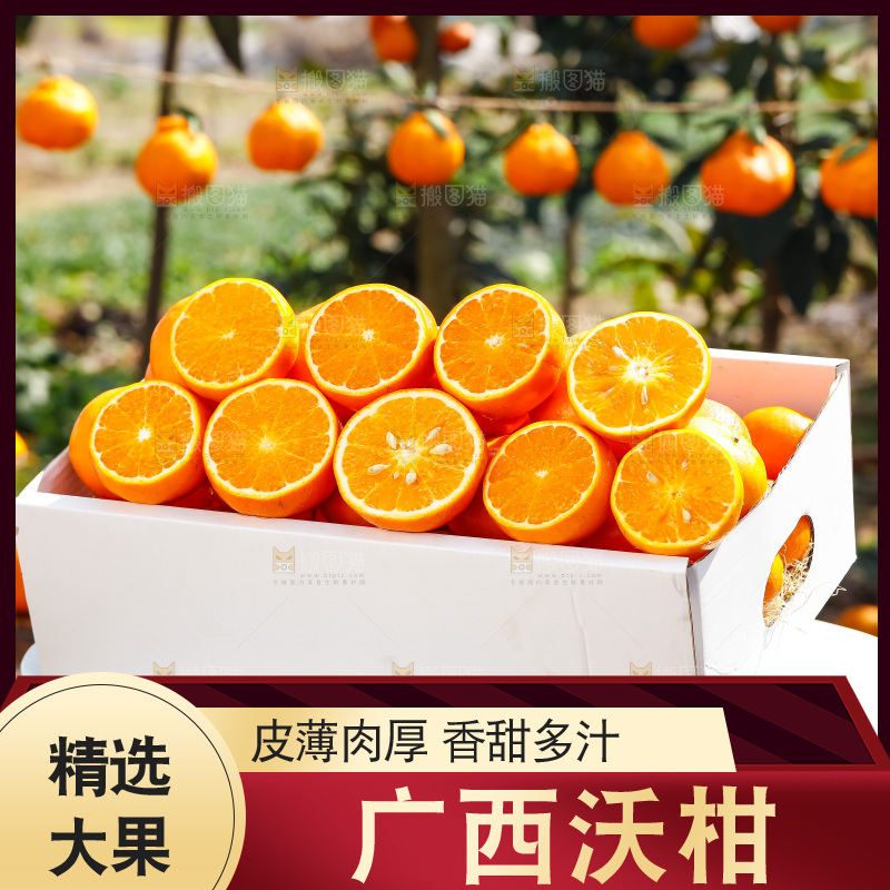 堆放着的新鲜沃柑