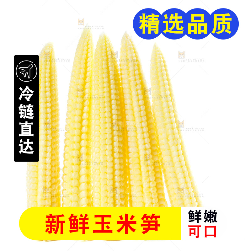 白底上的珍珠笋