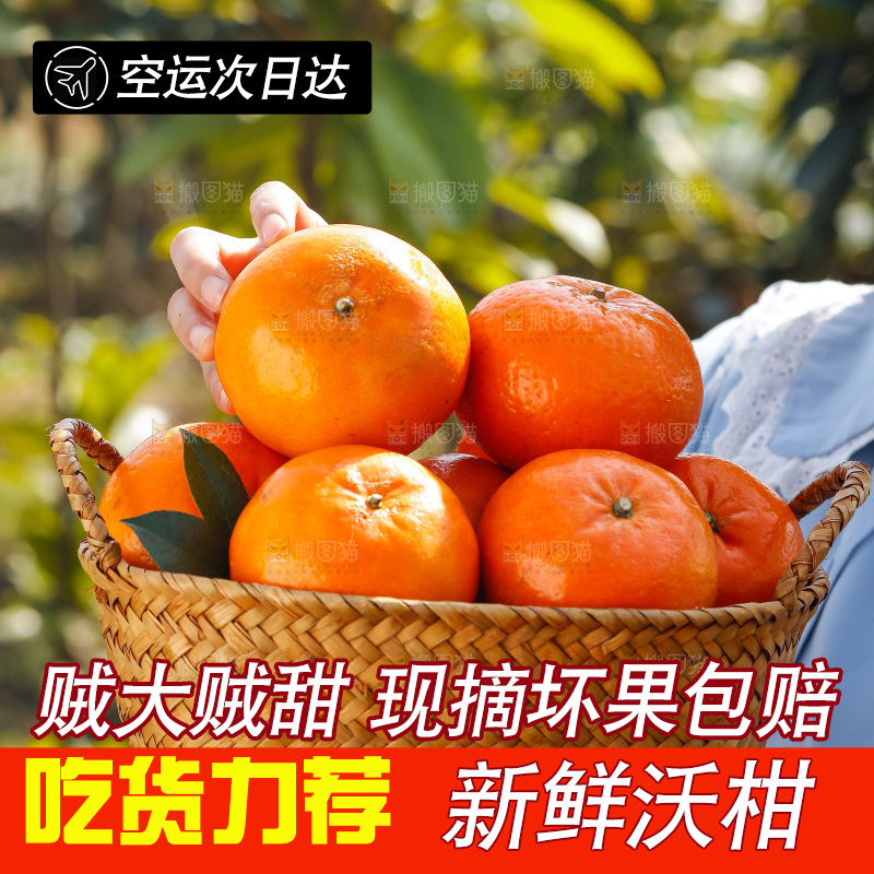 手里拿着沃柑