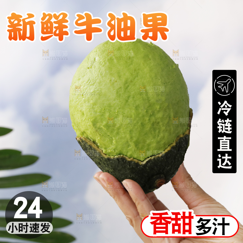 浅底上的巨无霸牛油果
