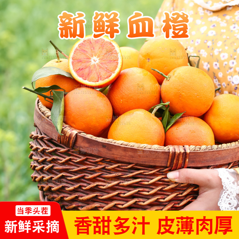 手里拿着赣南血橙