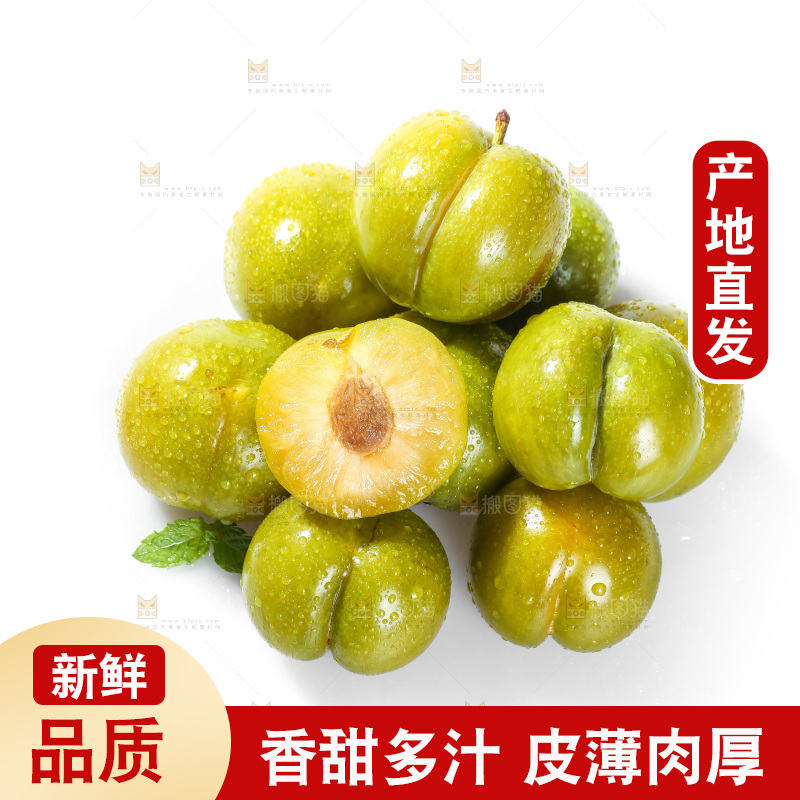 白底上的蜂糖李