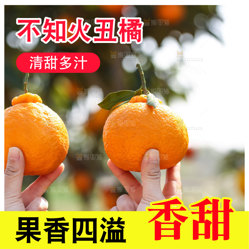 手里拿着丑八怪