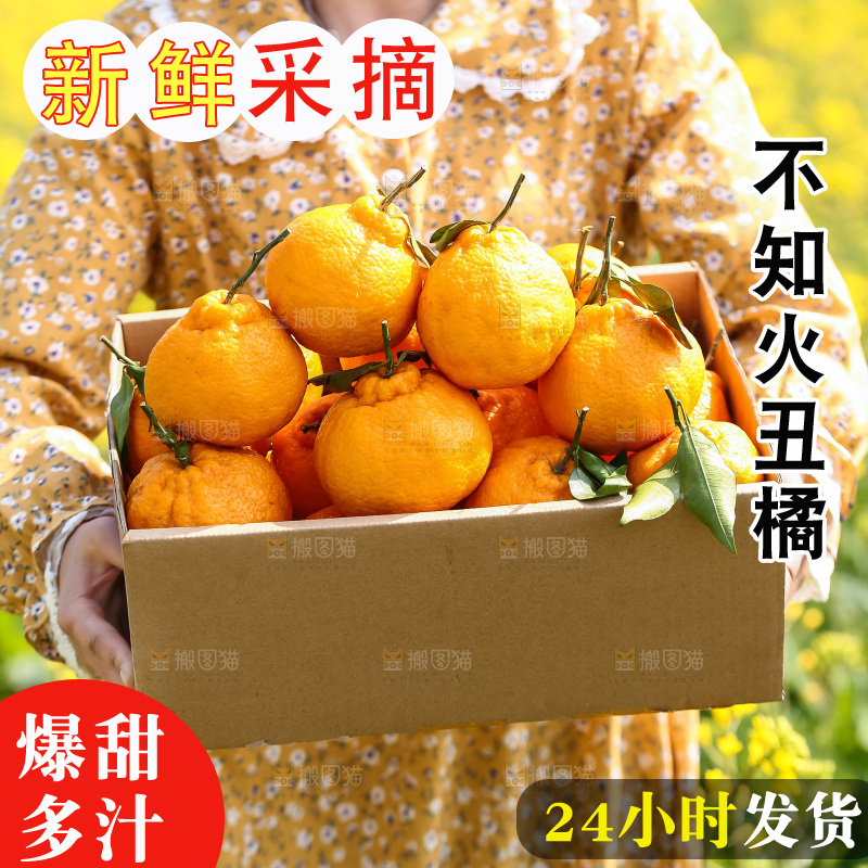 手里拿着丑八怪