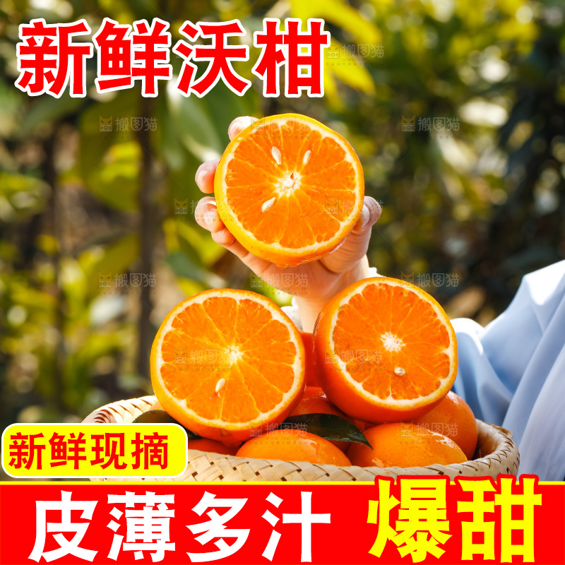 手里拿着沃柑