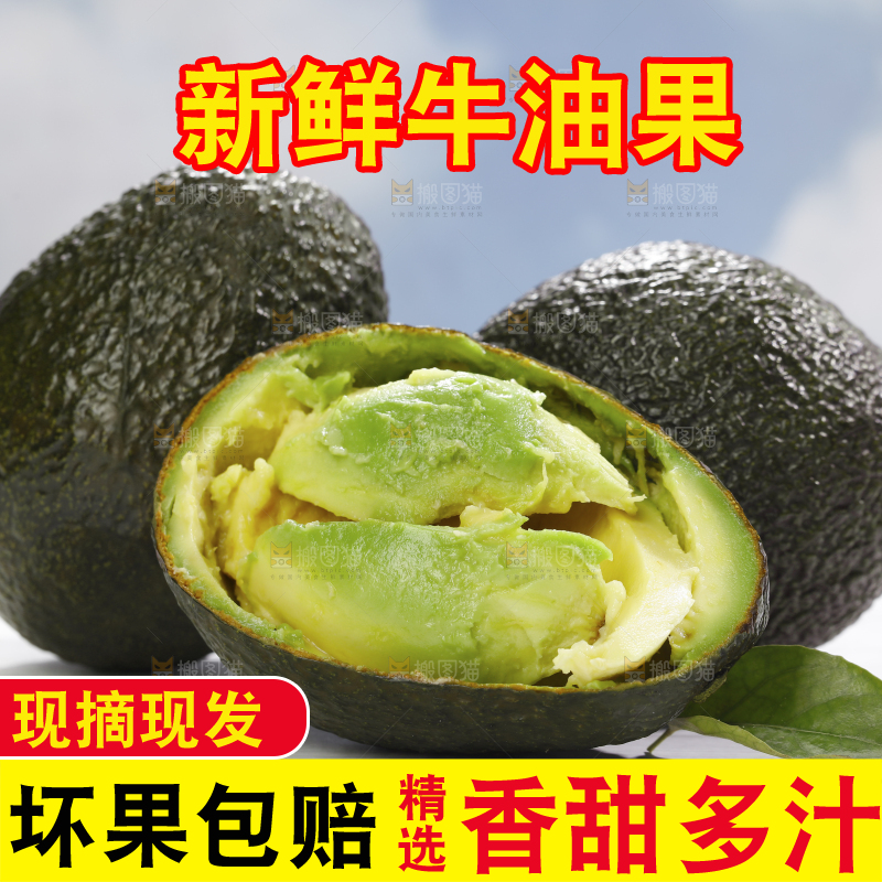 浅底上的巨无霸牛油果