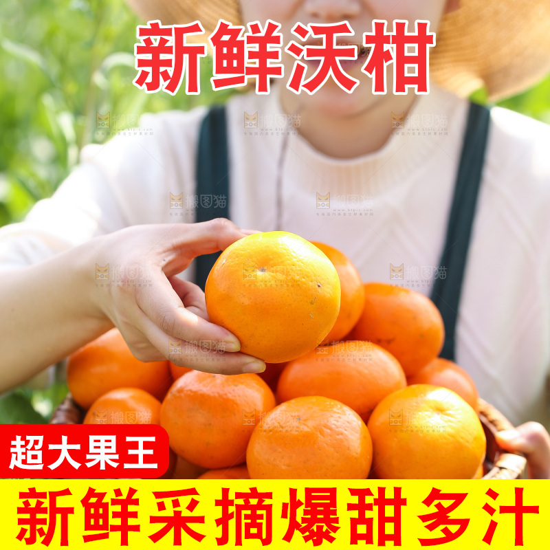 手里拿着新鲜沃柑