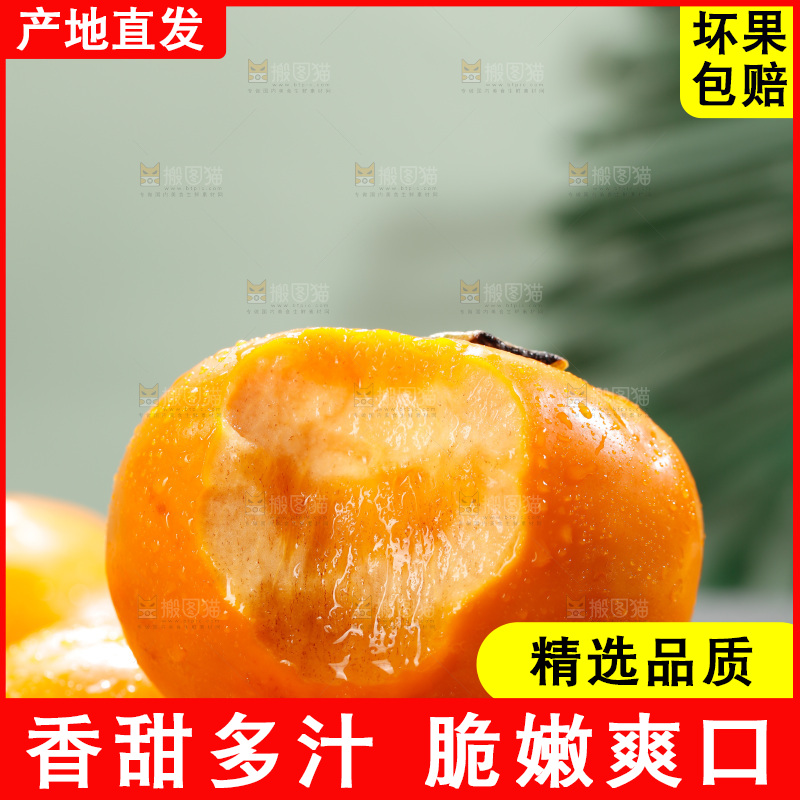 深底上的巧克力脆柿