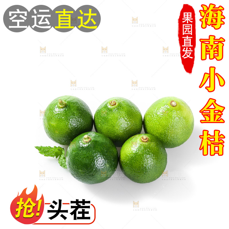 白底上的小金桔