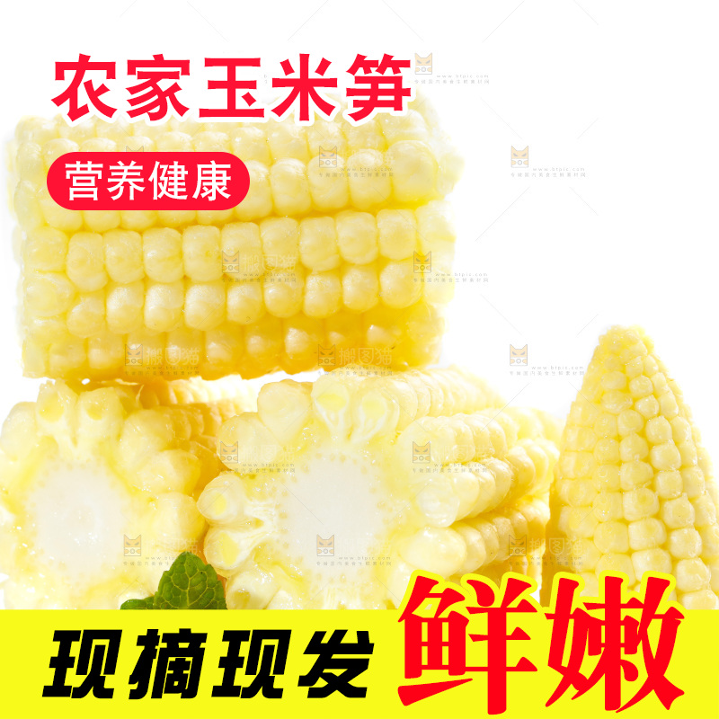 白底上的珍珠笋