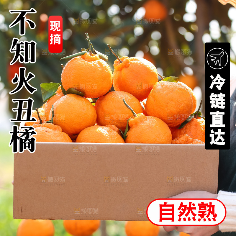 手里拿着丑八怪