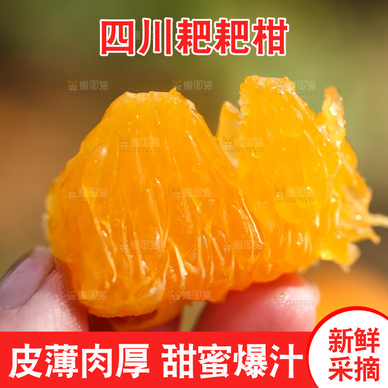 草地上的耙耙柑